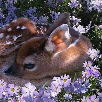 私は最高だ.