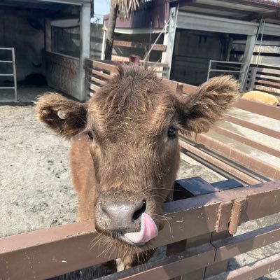 water10_06's profile picture. 關注我