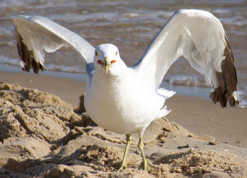 KPageCreations's profile picture. http://t.co/rGIjmyFFlk