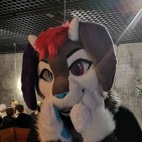 Jacky ☕ 🇸🇮 best boyo™ / autumn (@jacky_folf) Twitter profile photo