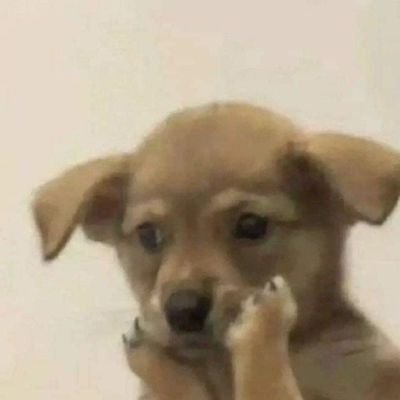 Voltando pra esse hospício de Twitter pela 39586 vez