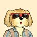 Fizz (@fizztrades) Twitter profile photo Fizz (@fizztrades) Twitter profile photo
