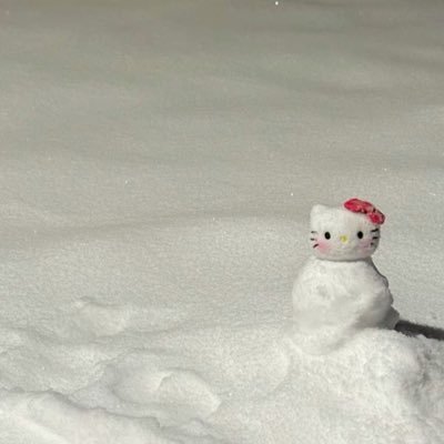 ismsmsmsndn's profile picture. Mdmsmd