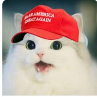 MAE~MAE (@pragmaticmaemae) 's Twitter Profile