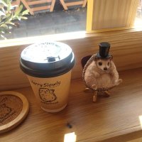 こじ (@kinntoreee) 's Twitter Profile
