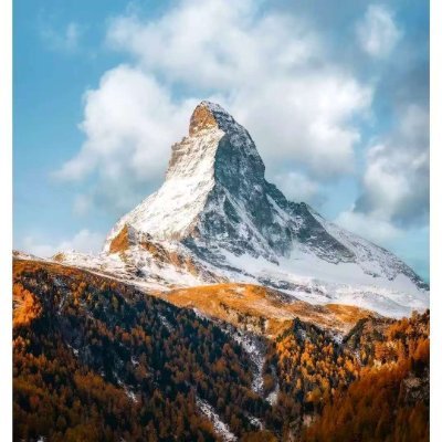 ElladineS19457's profile picture. 