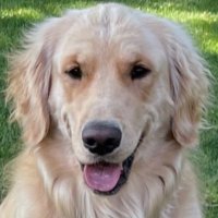 jack-c (@nutzhouse) 's Twitter Profile