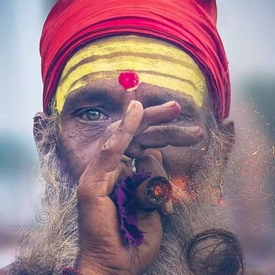 DwivediKushiki's profile picture. 