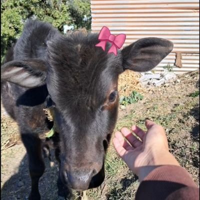 pragyajsh's profile picture. Eclectic