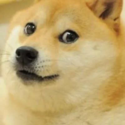 makemoney81922's profile picture. 