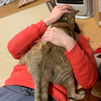 Chuckyy0027's profile picture. 好奇心で、できています。「配信、ゲーム用→@chuckyyyy_live」