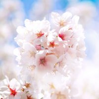 よこえす (@t04993373) 's Twitter Profile Photo