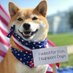 Lori H. (@hhherlori8) Twitter profile photo