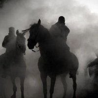 🇸🇴سلطان هرر (@runrabbit1963) 's Twitter Profile