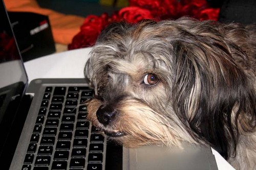 bj_mr2's profile picture. 