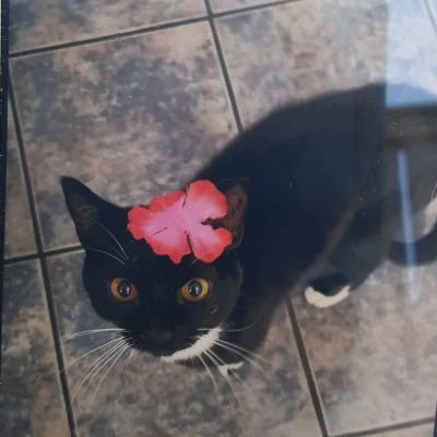 The_real_mrs_w's profile picture. Canadian Conservative girl! Married & madly in love to a wonderful man!!! Also, a Mama to a beautiful little girl and 3 fur babies.