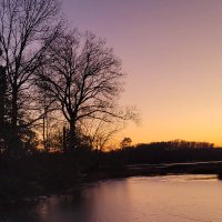 D C (@dmcristino) 's Twitter Profile