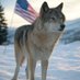 Old Wolf (@loboviejowi) Twitter profile photo Old Wolf (@loboviejowi) Twitter profile photo