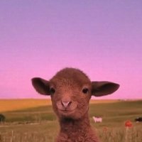 Rems (@remsvidrol) 's Twitter Profile