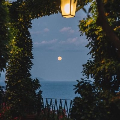 tan_xu54014's profile picture. 