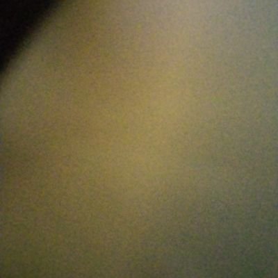 DMonciunsk21999's profile picture. 