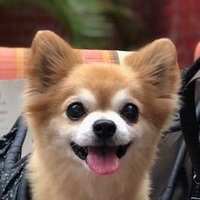Masa (@sailormasa2) 's Twitter Profile