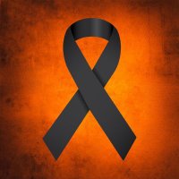 Kevinp🎗️🤟🟠 (@kevppp) 's Twitter Profile