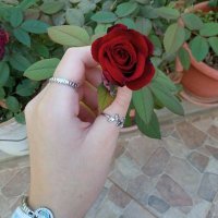 بنت المجمعه كلمني تليجرام فاضيه (@almjm_h25237) 's Twitter Profile