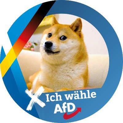 FreiheitMeister's profile picture. 💙🇩🇪💙 Nur Noch die AfD kann Deutschland retten! 💙🇩🇪💙
Gnoticer