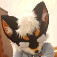 小黑柴作战记录 (@jie_chai1102) 's Twitter Profile