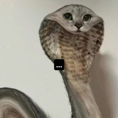 gaycheesey's profile picture. 