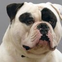 Olivia Cummings - @cummings_o46977 - Twitter