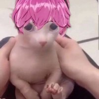 zeki (@plaveboy) 's Twitter Profile