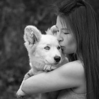 Sharon Zhang (She/Her) (@sharonzhang_pai) 's Twitter Profile