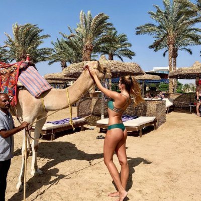 SuelearAyg9p's profile picture. 