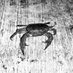 Pal (@paalhc) Twitter profile photo Pal (@paalhc) Twitter profile photo