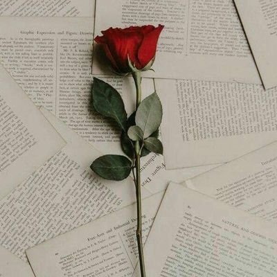 JannatulUr61343's profile picture. 