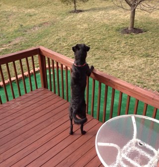 tmesker's profile picture. 