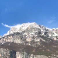 nathal47 (@nathal47184319) 's Twitter Profile