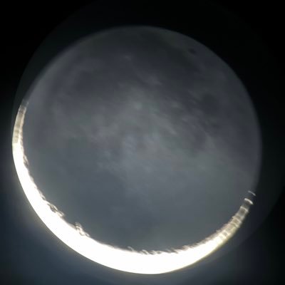 AntiSnow5's profile picture. 