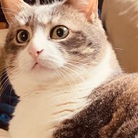 Dje (@jer10g) 's Twitter Profile