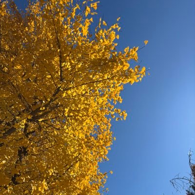 Toppo_photo's profile picture. 写真初心者🔰中古カメラを購入して目下練習中✨ 2024.12 EOS8000D  2025.01 6Dmark2