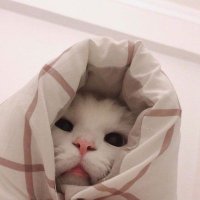 In ❄️ (@in_lilaac) 's Twitter Profile Photo In ❄️ (@in_lilaac) 's Twitter Profile Photo