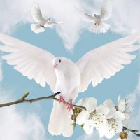 Max (@universalsoftw2) 's Twitter Profile