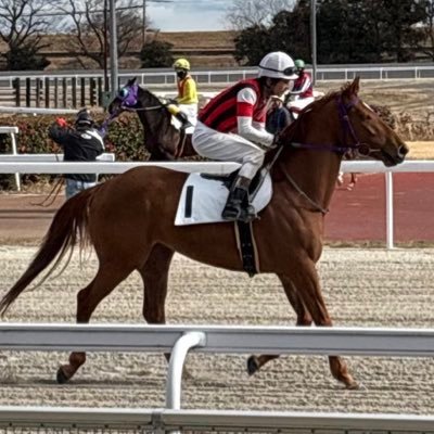 船橋競馬所属 柿本量平騎手のデータを少しずつつぶやいていくアカウントです。柿本量平騎手ご本人および船橋競馬、地方競馬全国協会等の公式団体とは一切関係ございません。 #柿本量平 タグで写真📷RPいいねに伺います👍