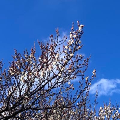 enasan_non1213's profile picture. 05🚹川越〜大宮〜池袋あたりで平日でもポケカできる人探してます！