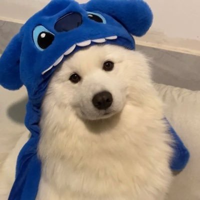 c73pyh21's profile picture.