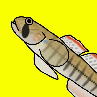 upasan_1123's profile picture. 日本淡水魚の魅力や危機をたくさんの人に知ってほしいと考え活動中。 シマドジョウ属とハゼにハマっている魚好き高校生。採ったことのある魚は299種。いつも魚を描いたり採ったりしています。 YouTubeもやってます。 https://t.co/DuNAw3WOCF
