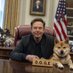 Elon Musk(CEO OF SPACE π AND TESLA MOTORS) (@privatemusk_ceo) Twitter profile photo Elon Musk(CEO OF SPACE π AND TESLA MOTORS) (@privatemusk_ceo) Twitter profile photo