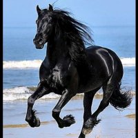🩵🤍عبدالعزيز ﮼ ﮼بن ،، حمود🤍🩵 (@azzez2020) 's Twitter Profile